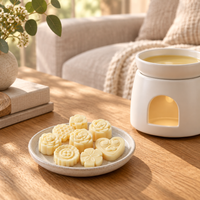Wax melts in a cozy living room